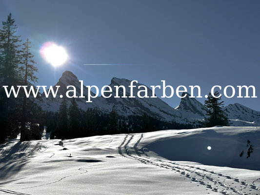 Zuestoll, Brisi, Frümsel und Selun durch die Wälder